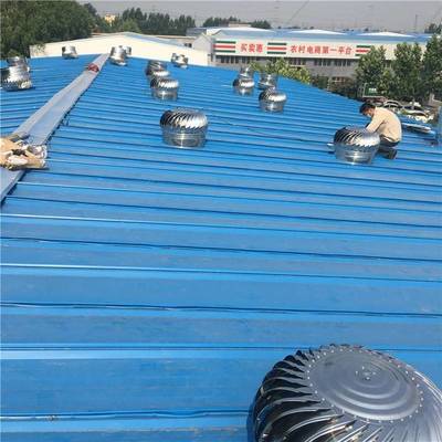 四川自貢廠房屋頂無動(dòng)力風(fēng)機(jī) 屋頂通風(fēng)器風(fēng)帽風(fēng)球